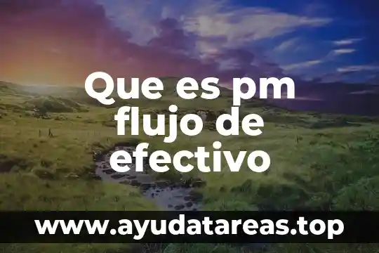 Que es pm flujo de efectivo