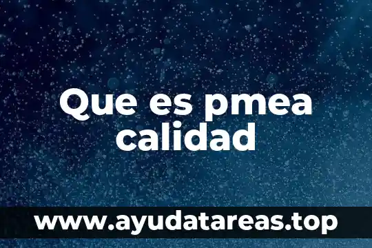 Que es pmea calidad