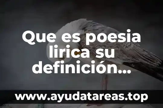 Que es un verso en una obra lirica 5 Que es poesia lirica su definición concepto y significado