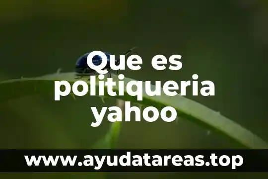 Que es politiqueria yahoo