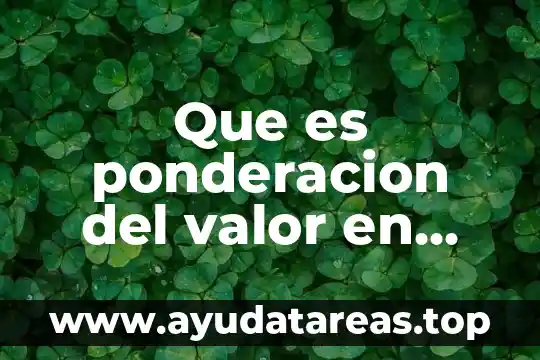Que es ponderacion del valor en libros ejemplo
