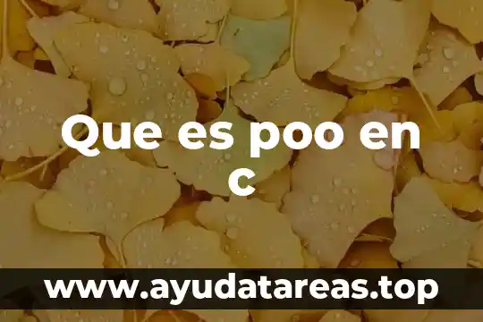 Que es poo en c