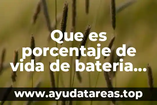 Que es porcentaje de vida de bateria iphone