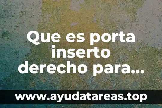 Que es verosimilitud del derecho invocado 3 Que es porta inserto derecho para tnm_33