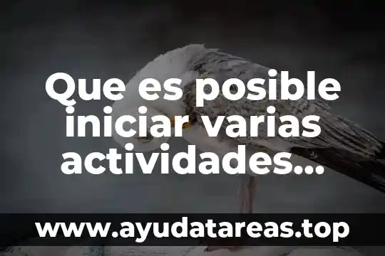 Qué es un diagrama de roles y actividades RAD 7 Que es posible iniciar varias actividades simultaneamente