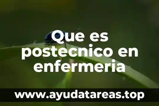 Que es la axiología en enfermeria 5 Que es postecnico en enfermeria