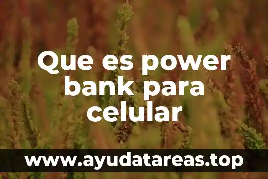 Qué es faceta espiral integral ion etc en power point 3 Que es power bank para celular