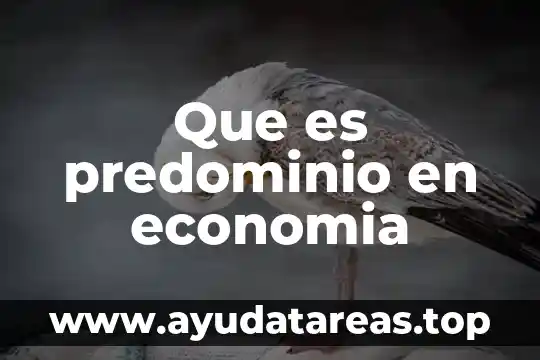 Que es predominio en economia