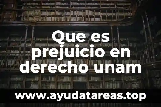 Que es prejuicio en derecho unam