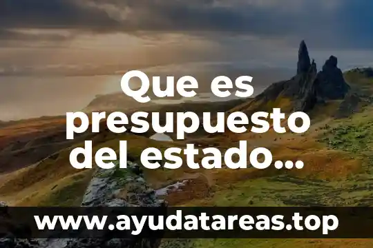 Que es presupuesto del estado personal