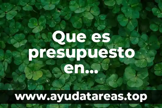 Que es ser maestra sombra 4 Que es presupuesto en administracion