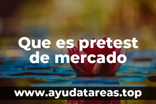 Mercado enbrionario que es 4 Que es pretest de mercado