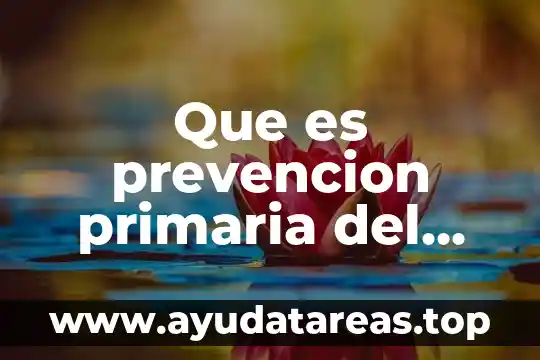 Que es prevencion primaria del delito scielo