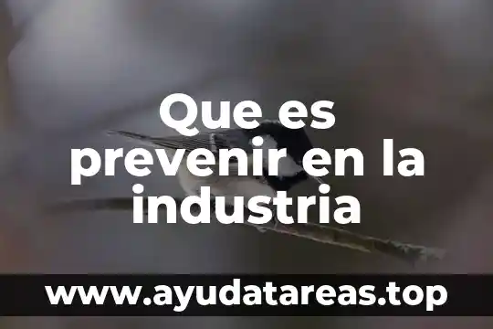 Que es prevenir en la industria
