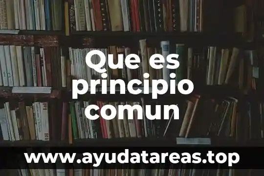 Que es principio comun