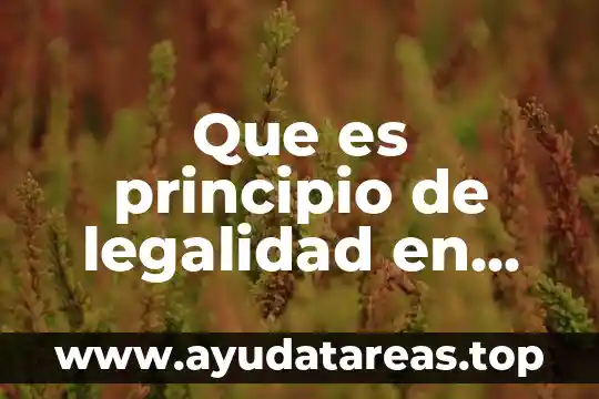 Que es la figura de confinamiento en materia penal 6 Que es principio de legalidad en derecho penal