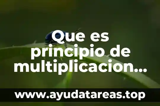 Que es principio de multiplicacion en matematicas