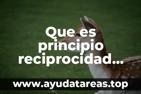 Que es principio reciprocidad en asilo politico