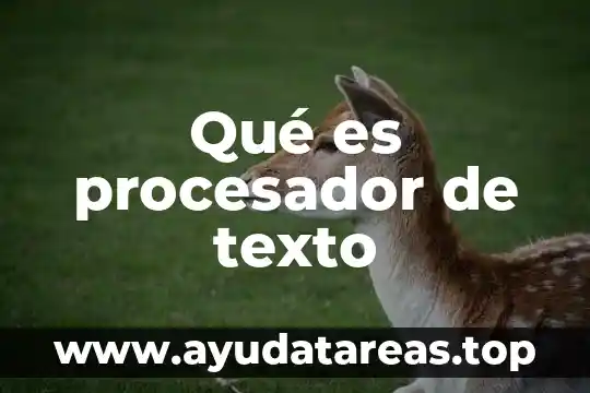Qué es procesador de texto