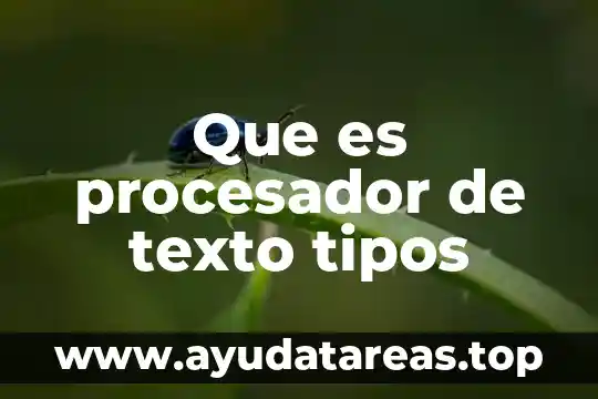 Qué es un procesador de texto en Word 7 Que es procesador de texto tipos
