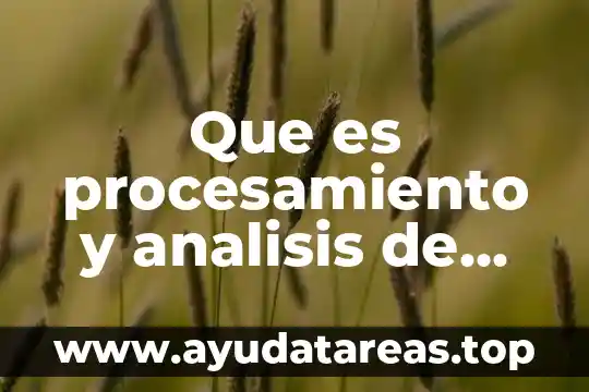 Que es procesamiento y analisis de datos