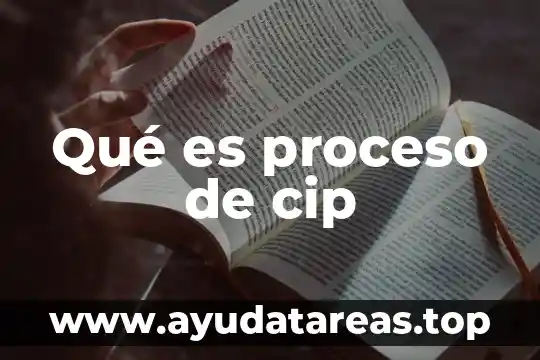 Qué es proceso de cip