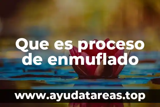 Número de mes que es septiembre 4 Que es proceso de enmuflado