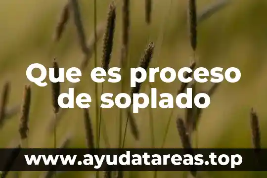 Que es el proceso de apropiacion 3 Que es proceso de soplado