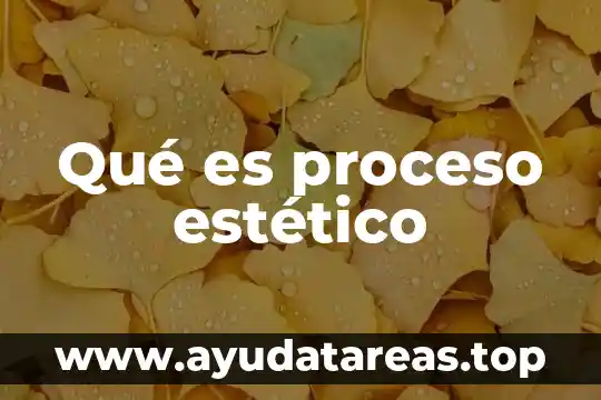 Que es un centro medico estetico 4 Qué es proceso estético