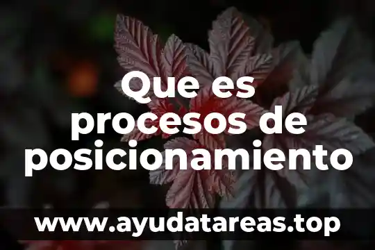 Que es procesos de posicionamiento