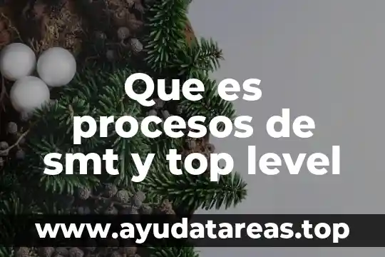 Que es procesos de smt y top level