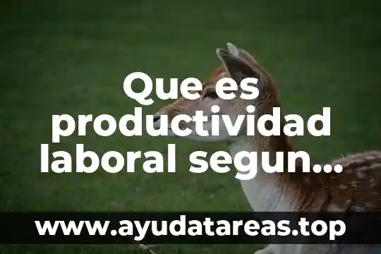 Que es productividad laboral segun chiavenato