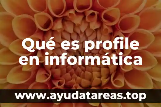 Qué es una nubes informática y tipos de nubes 8 Qué es profile en informática