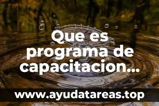 Que es programa de capacitacion de un asilo