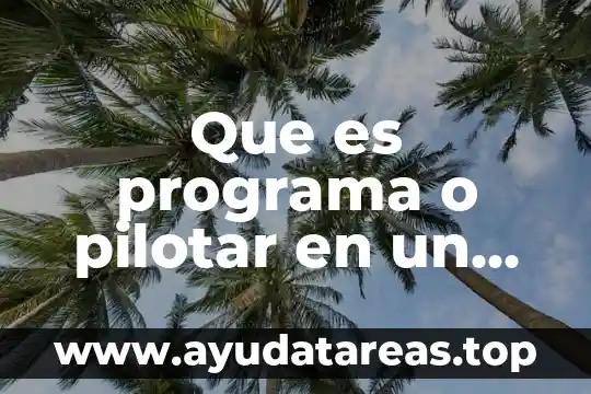 Que es un programa operativo definición 6 Que es programa o pilotar en un cortometraje