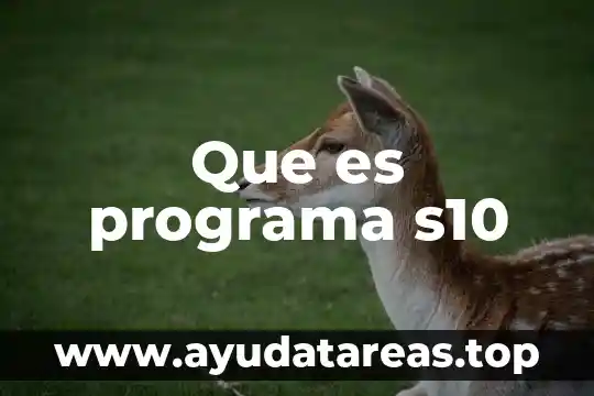Que es el programa pspp 6 Que es programa s10