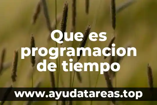 Programacion que es bandera 8 Que es programacion de tiempo