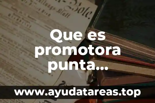 Que es una punta para cautin 8 Que es promotora punta antigualla