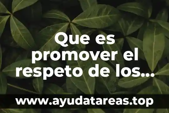 Que es promover el respeto de los derechos humanos