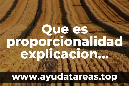 Que es proporcionalidad explicacion para niños