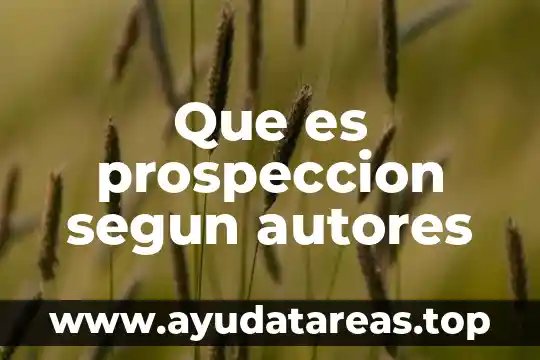 Que es un principio en metodologia segun autores 7 Que es prospeccion segun autores