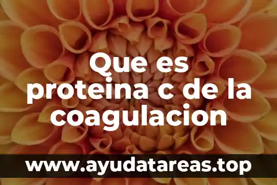 Qué es coagulación en examen química 4 Que es proteina c de la coagulacion