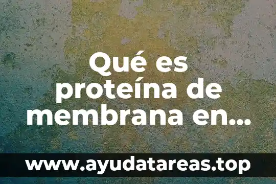 Qué es la membrana plasmática de la célula animal 5 Qué es proteína de membrana en transporte activo primario