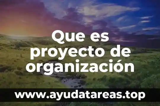 Que es proyecto de organización