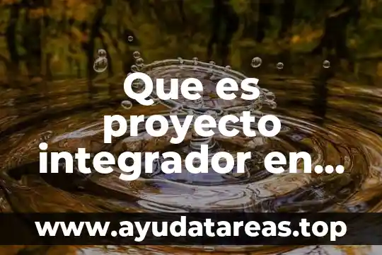 Que es proyecto integrador en bachillerato