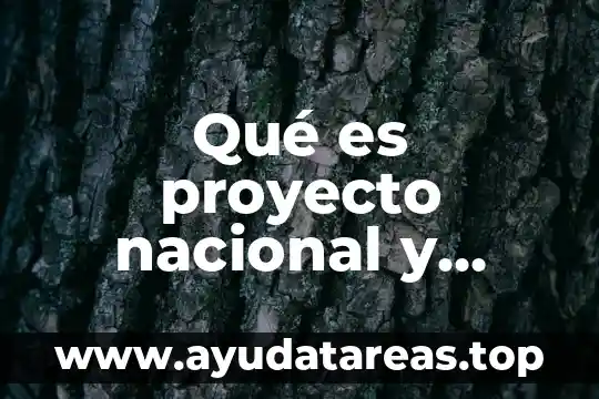 Proyecto filadelfia que es 3 Qué es proyecto nacional y ciudadanía