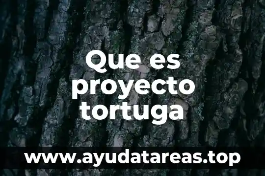 Proyecto filadelfia que es 8 Que es proyecto tortuga