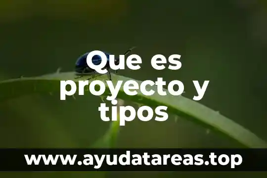 Que es proyecto y tipos
