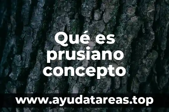 Qué es prusiano concepto