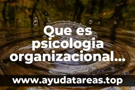 En la psicología que es el alma 6 Que es psicologia organizacional con autor